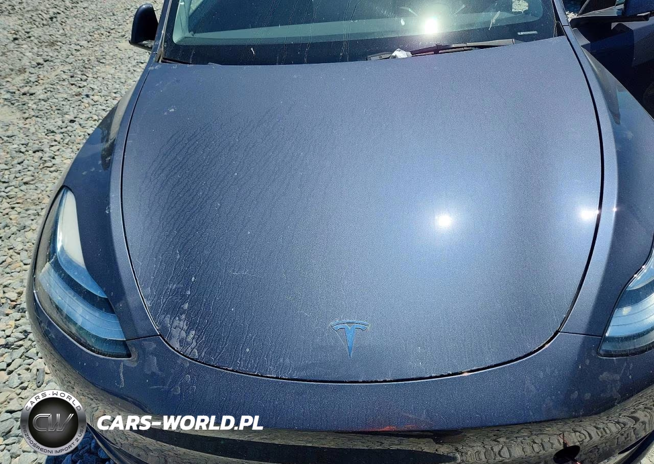 2023 Tesla Model Y VIN:7SAYGDEE0PA142371 - 12