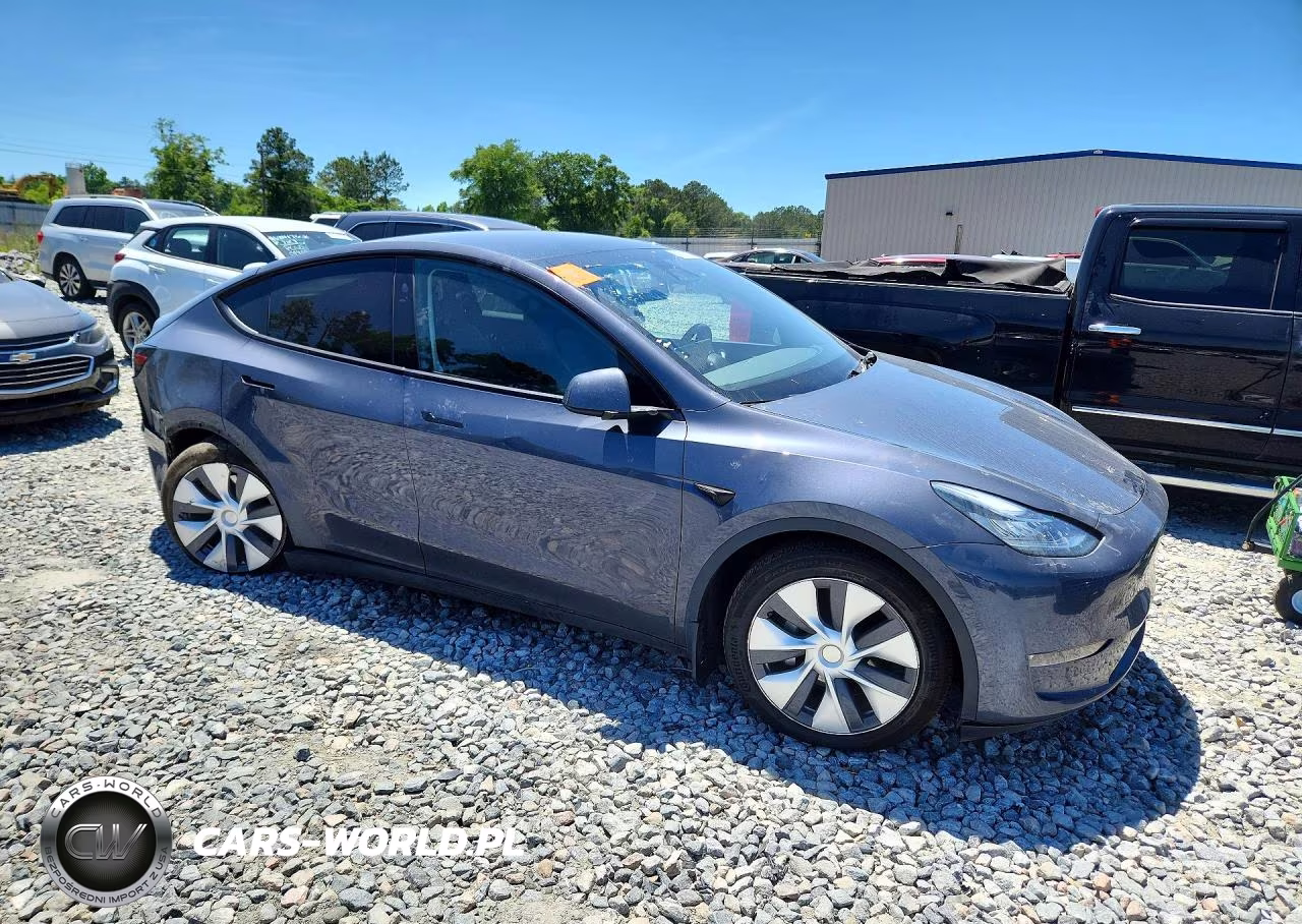 2023 Tesla Model Y VIN:7SAYGDEE0PA142371 - 4