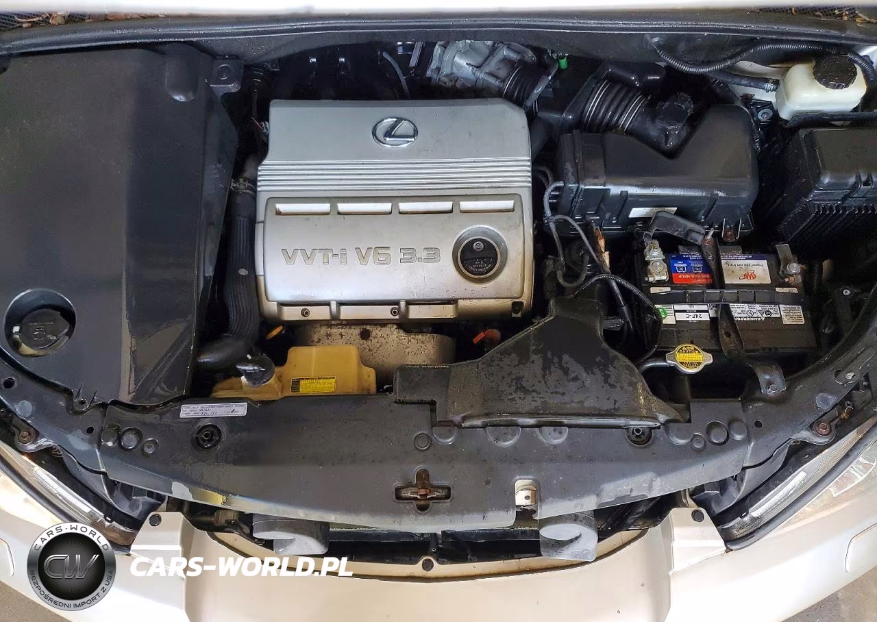 2006 Lexus Rx 330 VIN:2T2HA31U06C097018 - 12