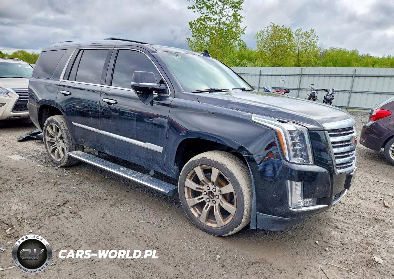 2017 Cadillac Escalade Platinum VIN:1GYS4DKJ5HR303870 - 4