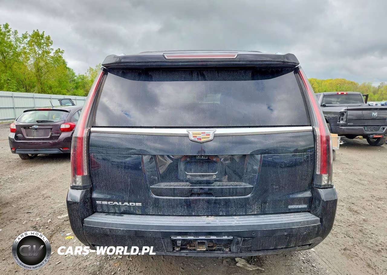 2017 Cadillac Escalade Platinum VIN:1GYS4DKJ5HR303870 - 6