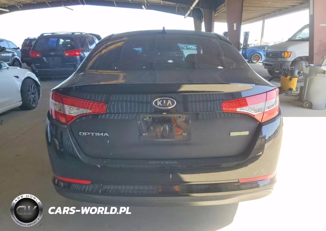 2012 Kia Optima Hybrid VIN:KNAGM4AD4C5016394 - 6