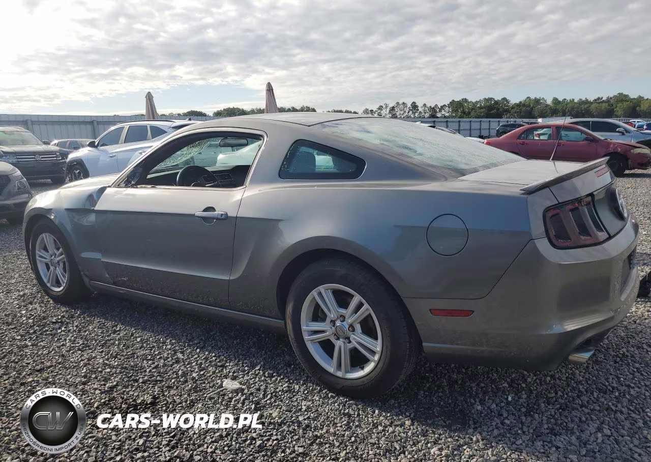 2013 Ford Mustang VIN:1ZVBP8AM2D5268624 - 2