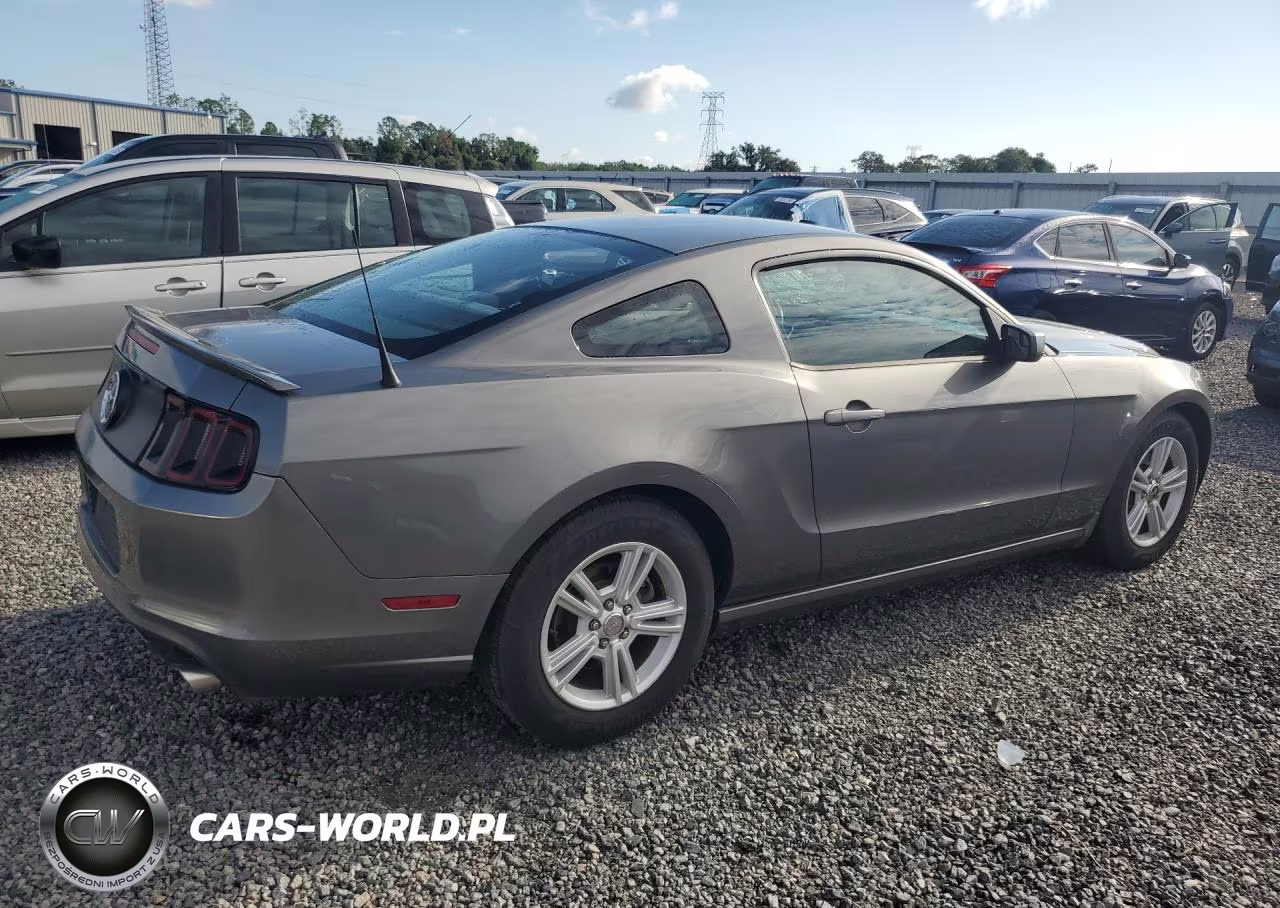 2013 Ford Mustang VIN:1ZVBP8AM2D5268624 - 3