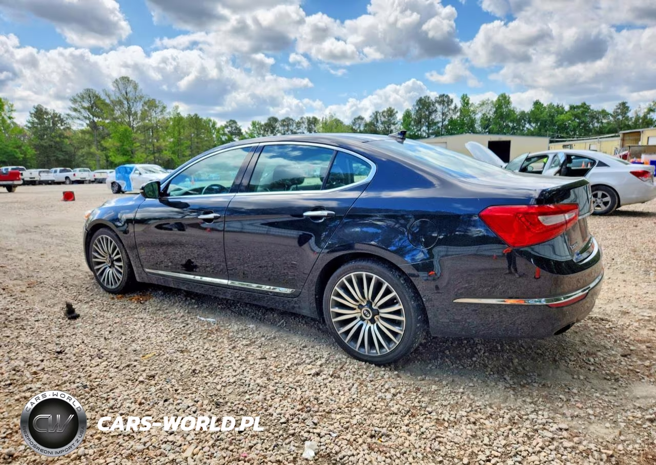 2014 Kia Cadenza Premium VIN:KNALN4D75E5123894 - 2