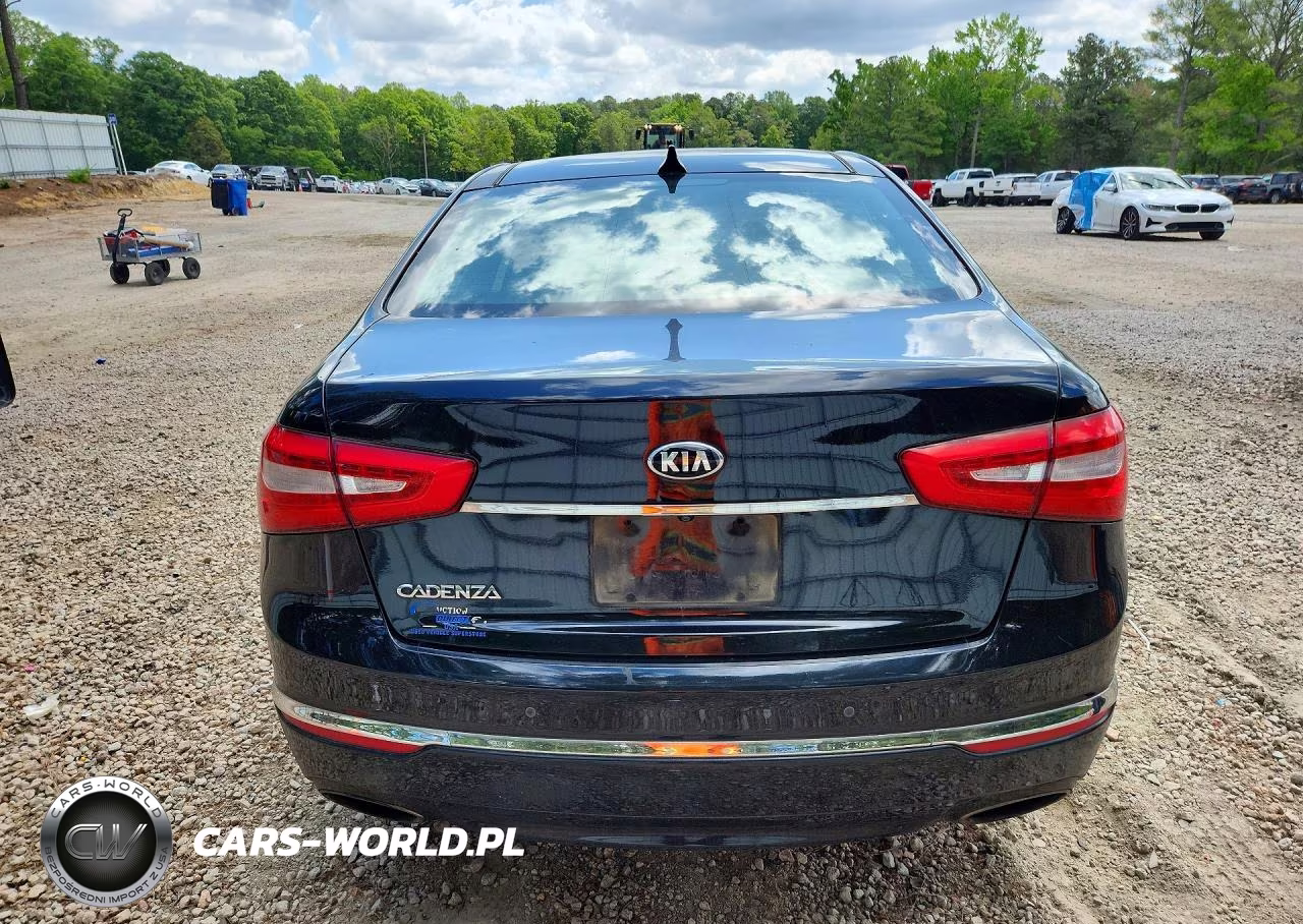 2014 Kia Cadenza Premium VIN:KNALN4D75E5123894 - 6