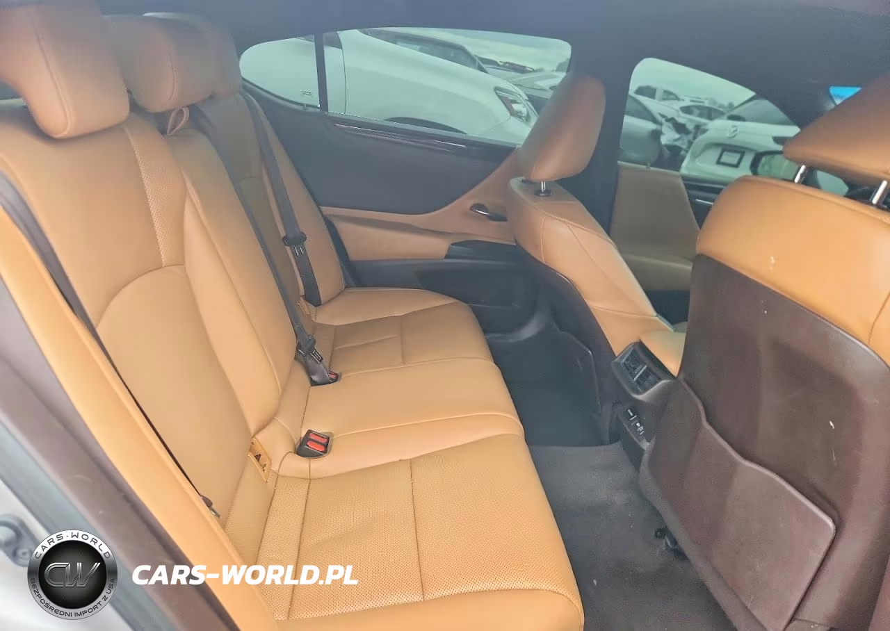 2020 Lexus Es 350 VIN:58ADZ1B15LU076222 - 10