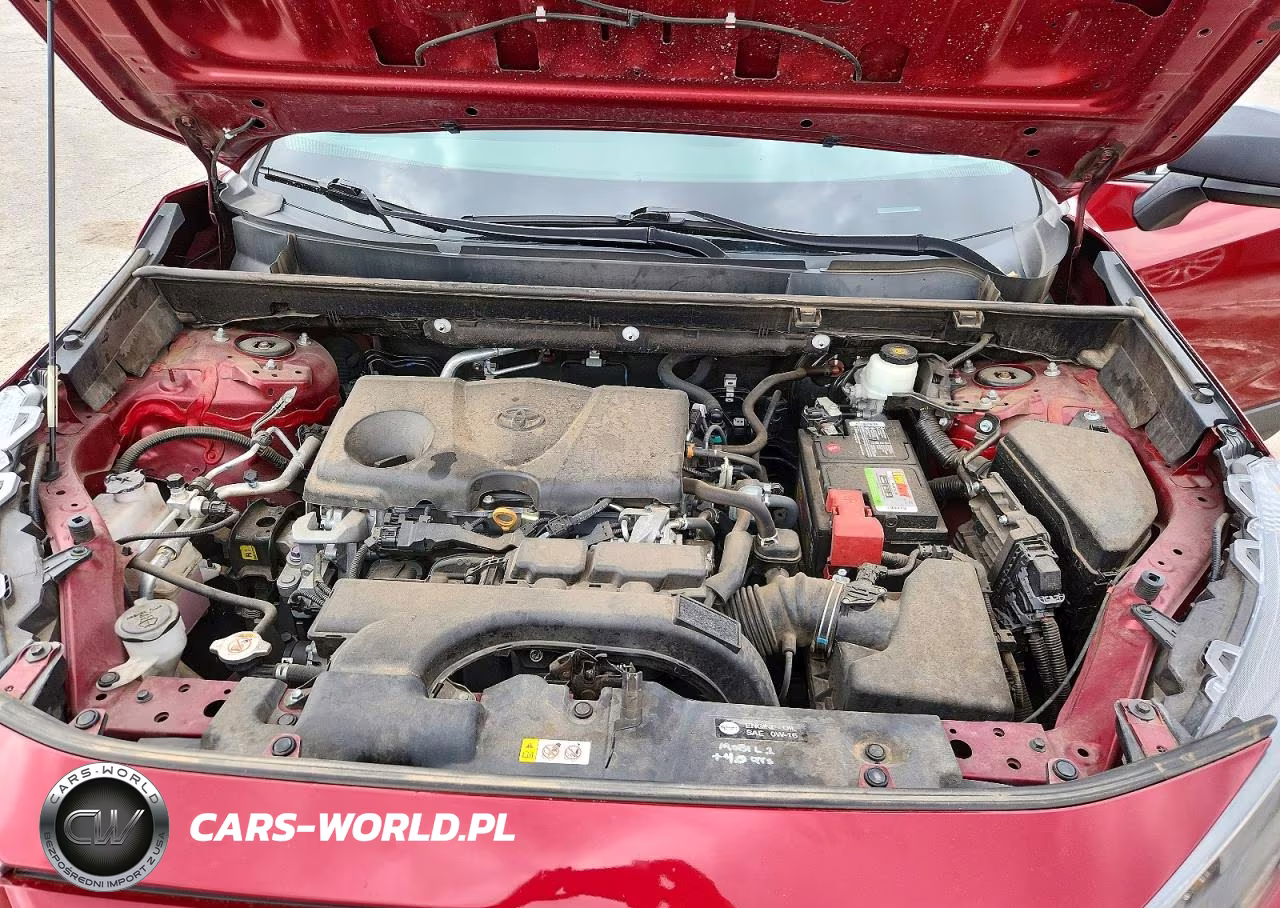 2019 Toyota Rav 4 VIN:2T3F1RFV5KW083356 - 12