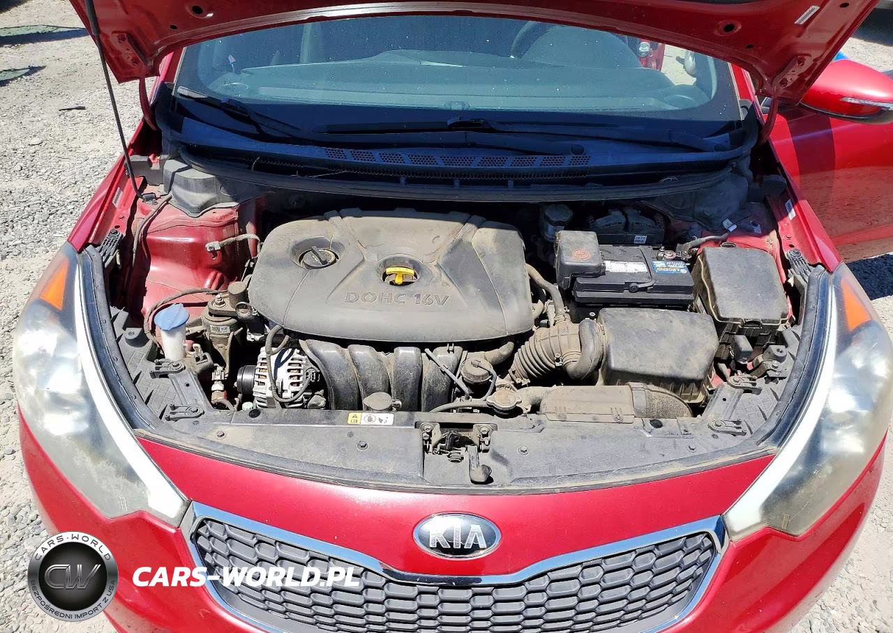 2015 Kia Forte Lx VIN:KNAFX4A64F5302061 - 11