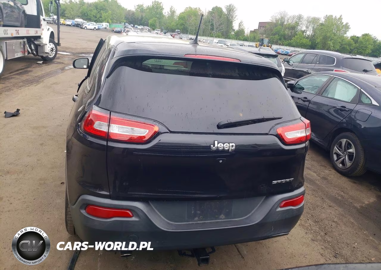 2014 Jeep Cherokee Sport VIN:1C4PJLABXEW123659 - 6