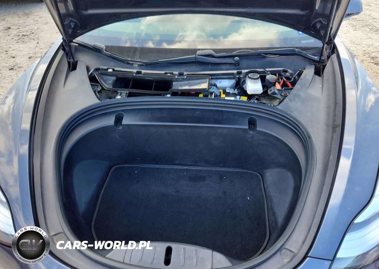 2020 Tesla Model 3 VIN:5YJ3E1EA4LF705086 - 11