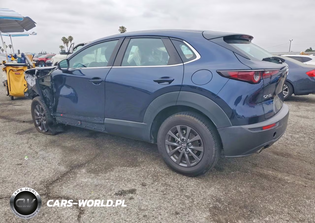 2020 Mazda Cx-30 VIN:3MVDMABL0LM119637 - 2