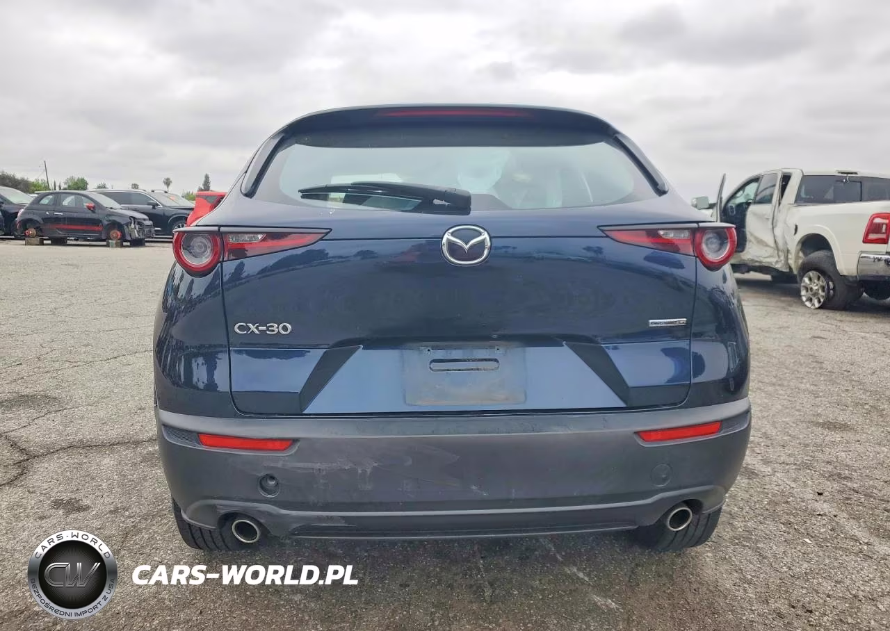 2020 Mazda Cx-30 VIN:3MVDMABL0LM119637 - 6