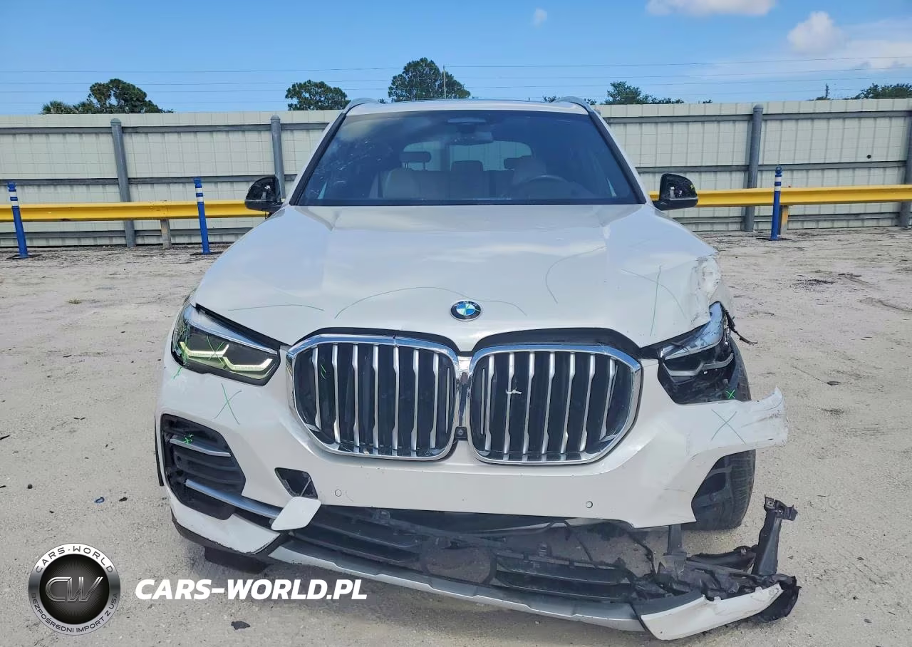 2021 BMW X5 xDrive40I VIN:5UXCR6C06M9F73313 - 5