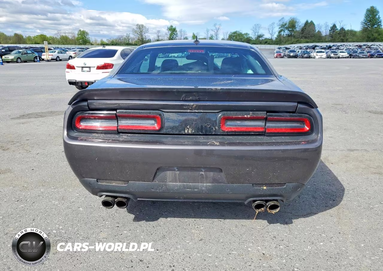2021 Dodge Challenger Srt Hellcat Redeye VIN:2C3CDZL9XMH654199 - 6