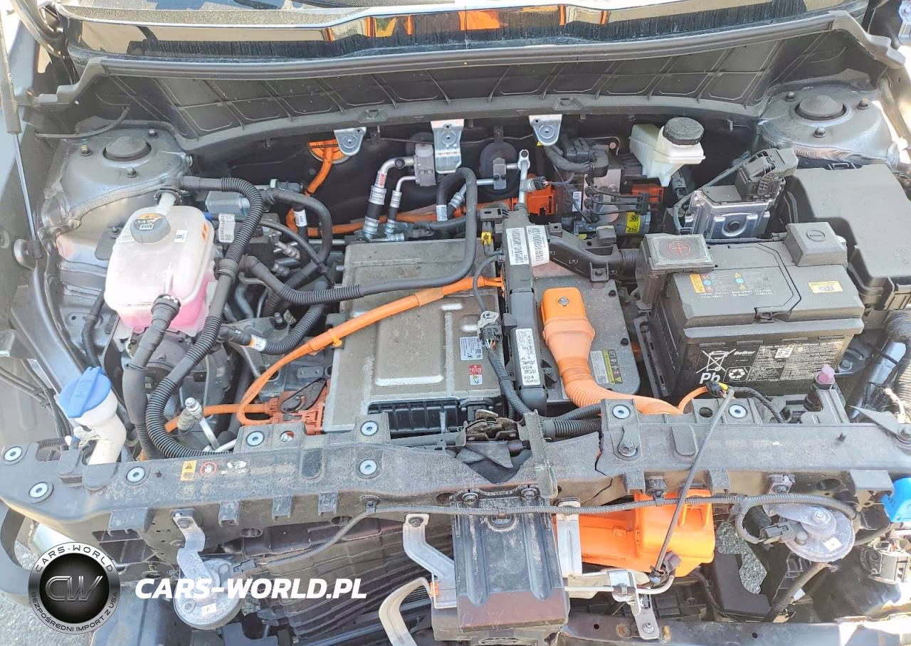2024 Kia Niro Wind VIN:KNDCR3L18R5123134 - 12