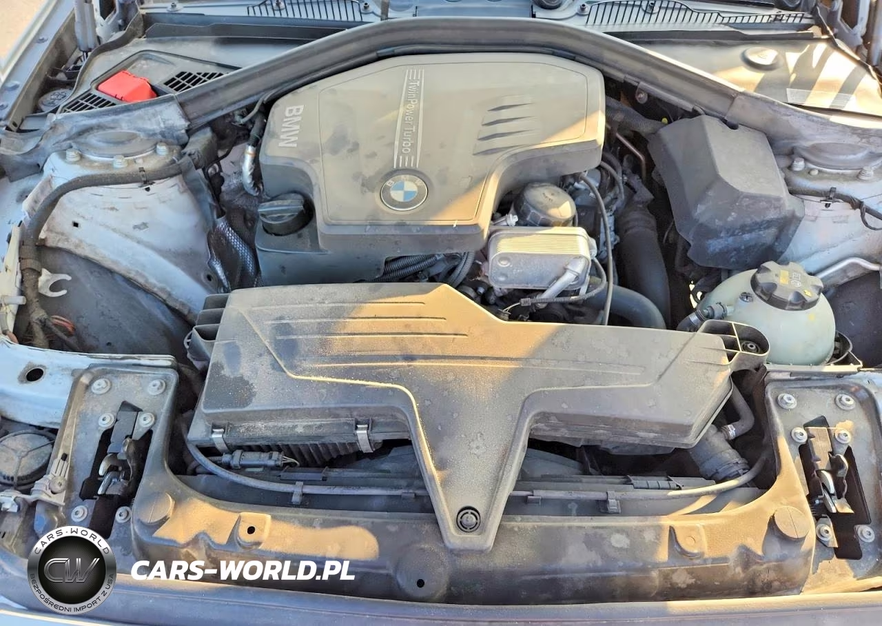 2016 BMW 228 I Sulev VIN:WBA1F9C52GV544928 - 11