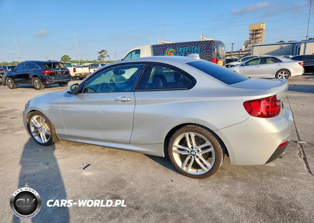 2016 BMW 228 I Sulev VIN:WBA1F9C52GV544928 - 2