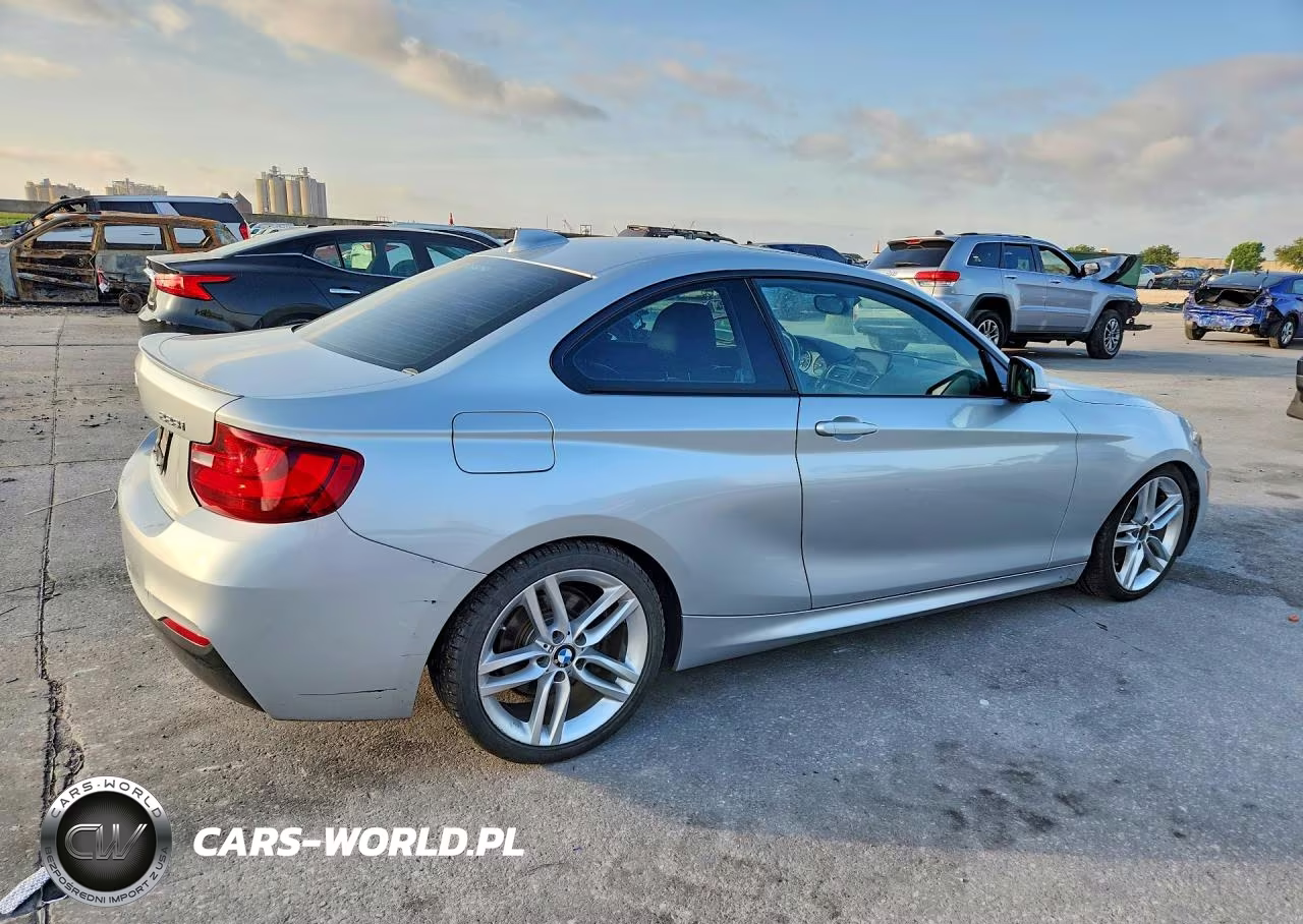2016 BMW 228 I Sulev VIN:WBA1F9C52GV544928 - 3