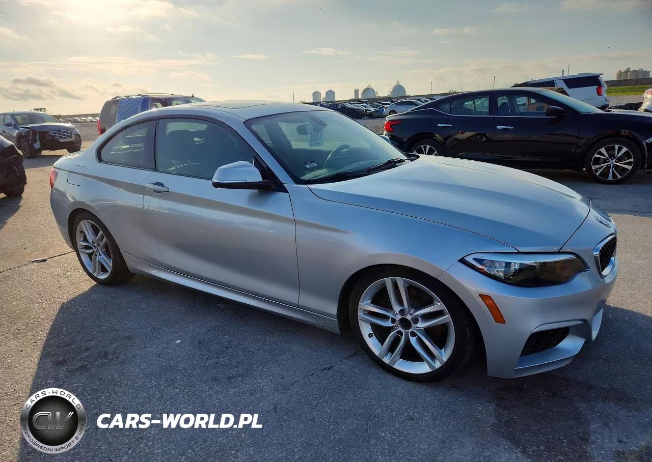 2016 BMW 228 I Sulev VIN:WBA1F9C52GV544928 - 4