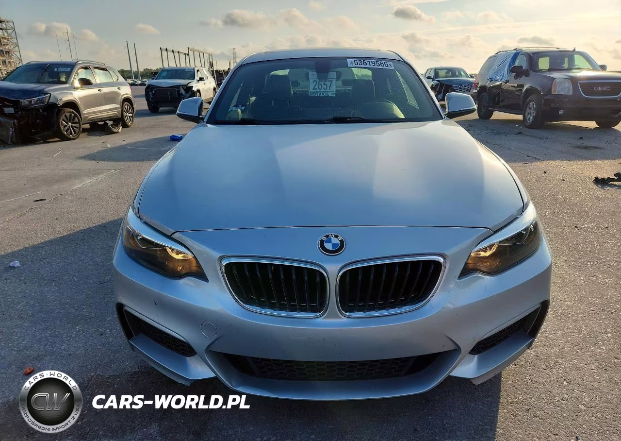 2016 BMW 228 I Sulev VIN:WBA1F9C52GV544928 - 5