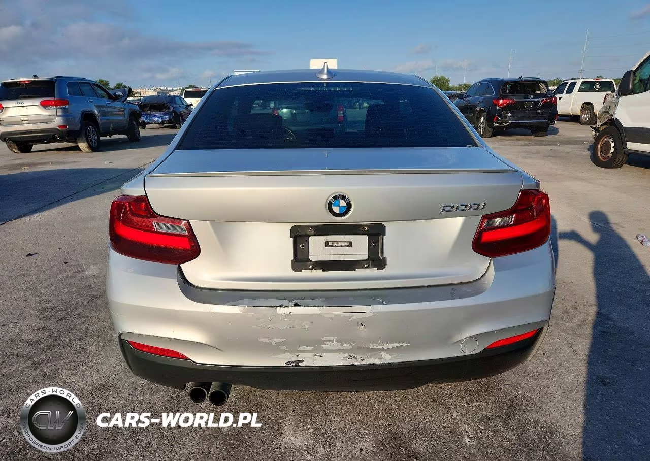 2016 BMW 228 I Sulev VIN:WBA1F9C52GV544928 - 6