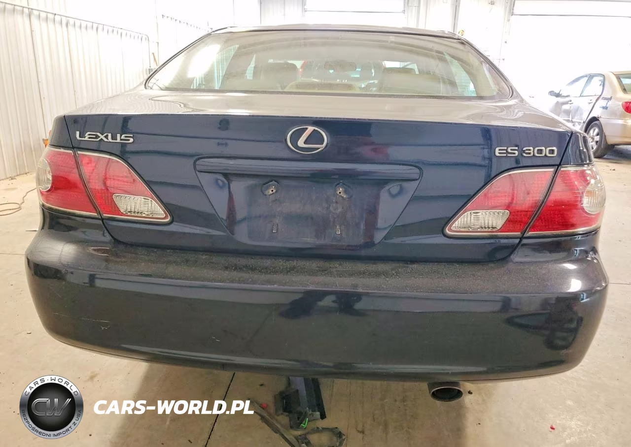 2003 Lexus Es 300 VIN:JTHBF30G330092651 - 6