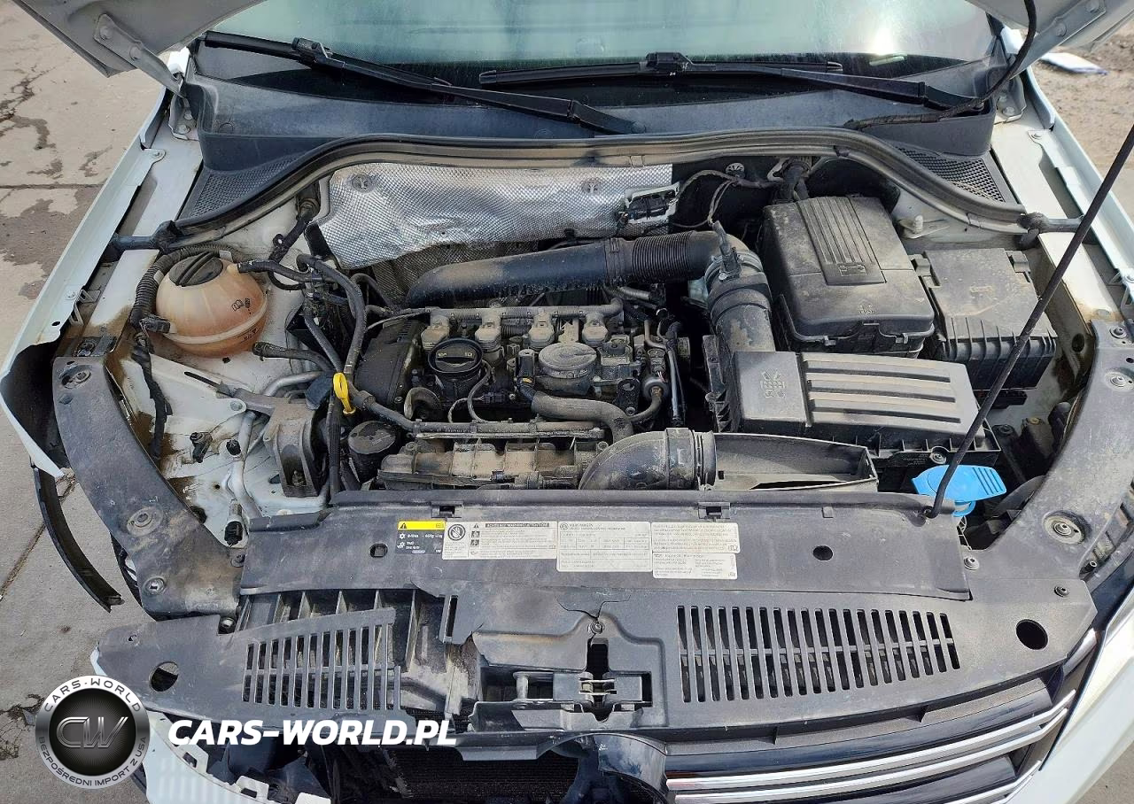2014 Volkswagen Tiguan S VIN:WVGBV3AX1EW624137 - 12