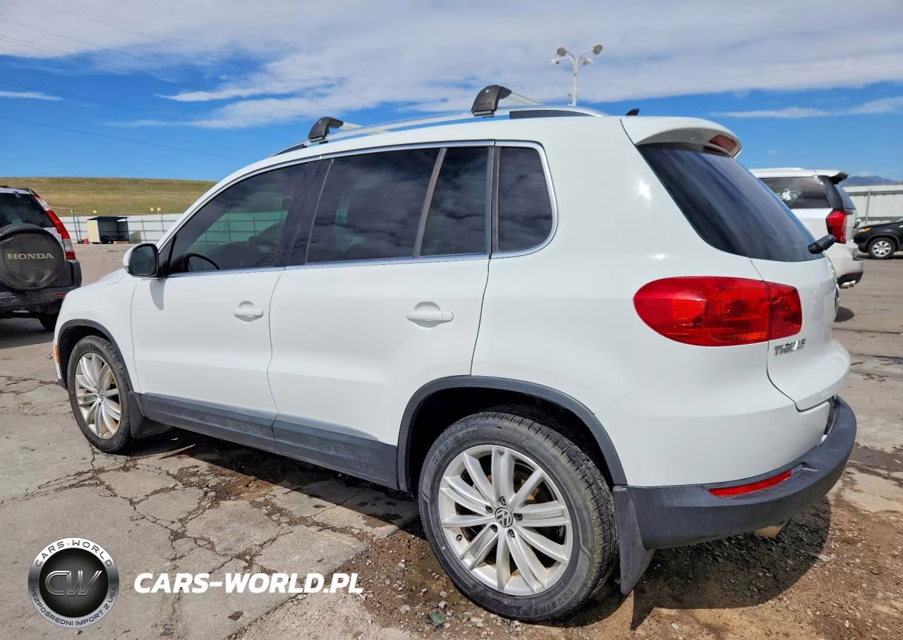 2014 Volkswagen Tiguan S VIN:WVGBV3AX1EW624137 - 2
