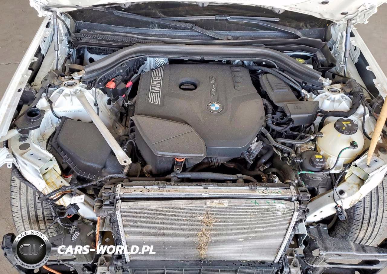 2019 BMW X3 Sdrive30I VIN:5UXTR7C56KLR50513 - 11