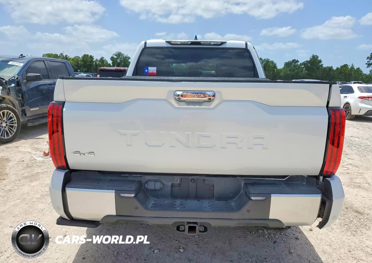 2024 Toyota Tundra Limited VIN:5TFJA5DBXRX162877 - 6