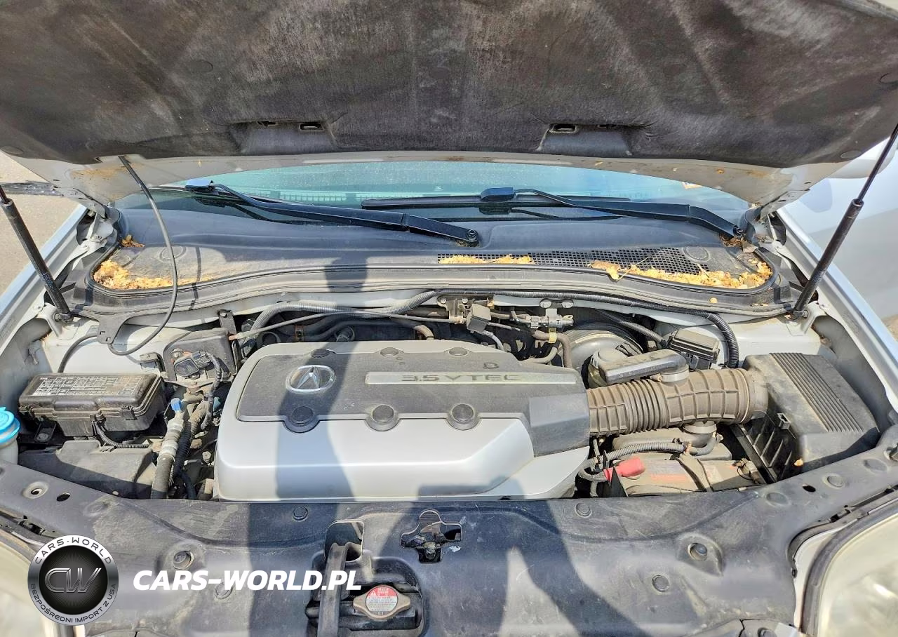 2006 Acura Mdx Touring VIN:2HNYD18836H545664 - 12
