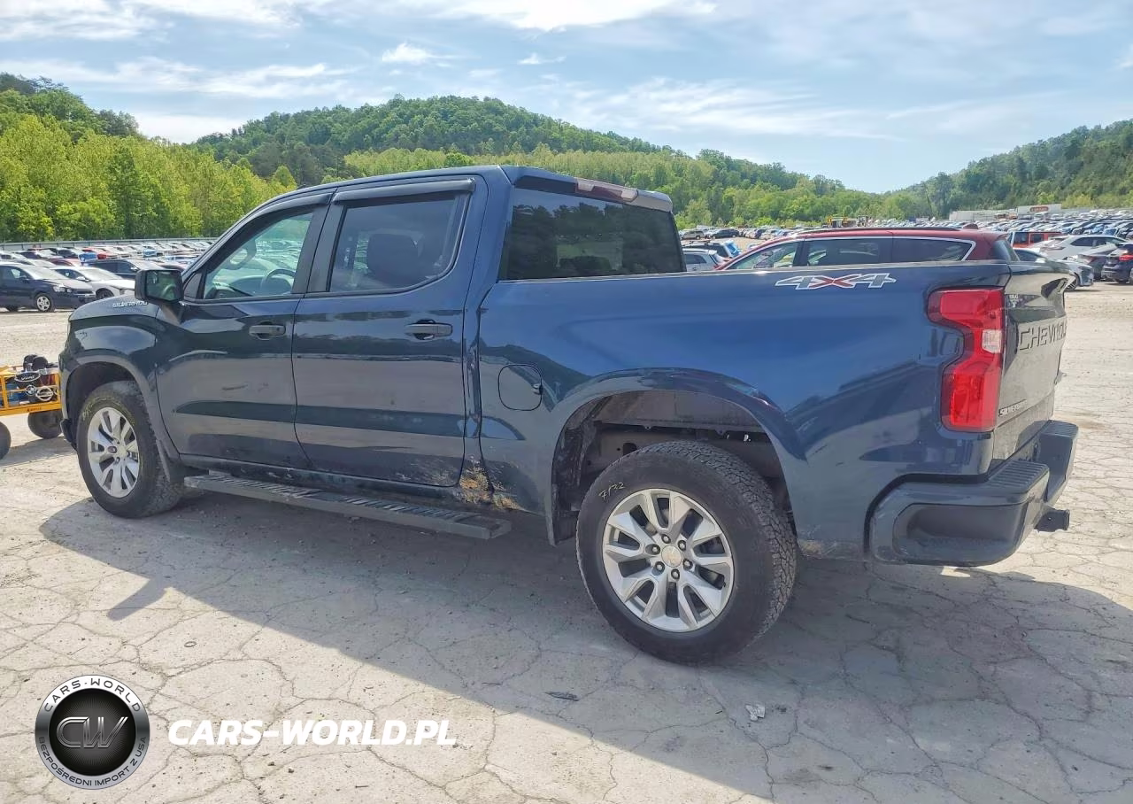 2019 Chevrolet Silverado K1500 Custom VIN:3GCPYBEH9KG308901 - 2