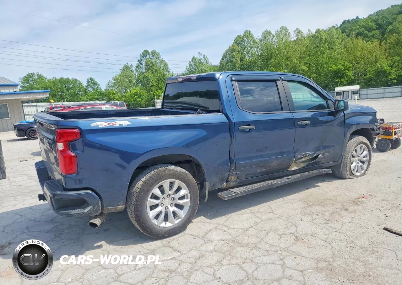 2019 Chevrolet Silverado K1500 Custom VIN:3GCPYBEH9KG308901 - 3