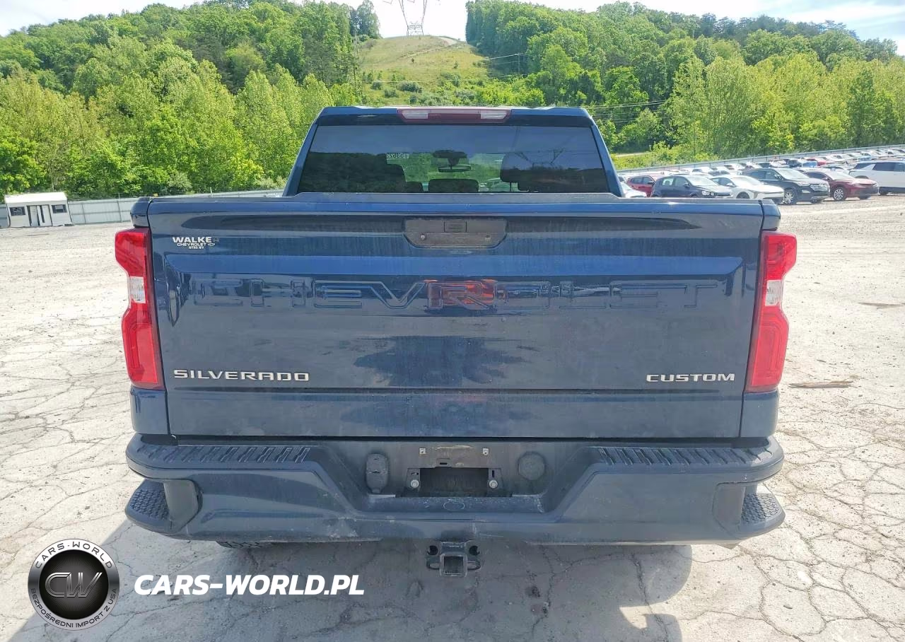 2019 Chevrolet Silverado K1500 Custom VIN:3GCPYBEH9KG308901 - 6