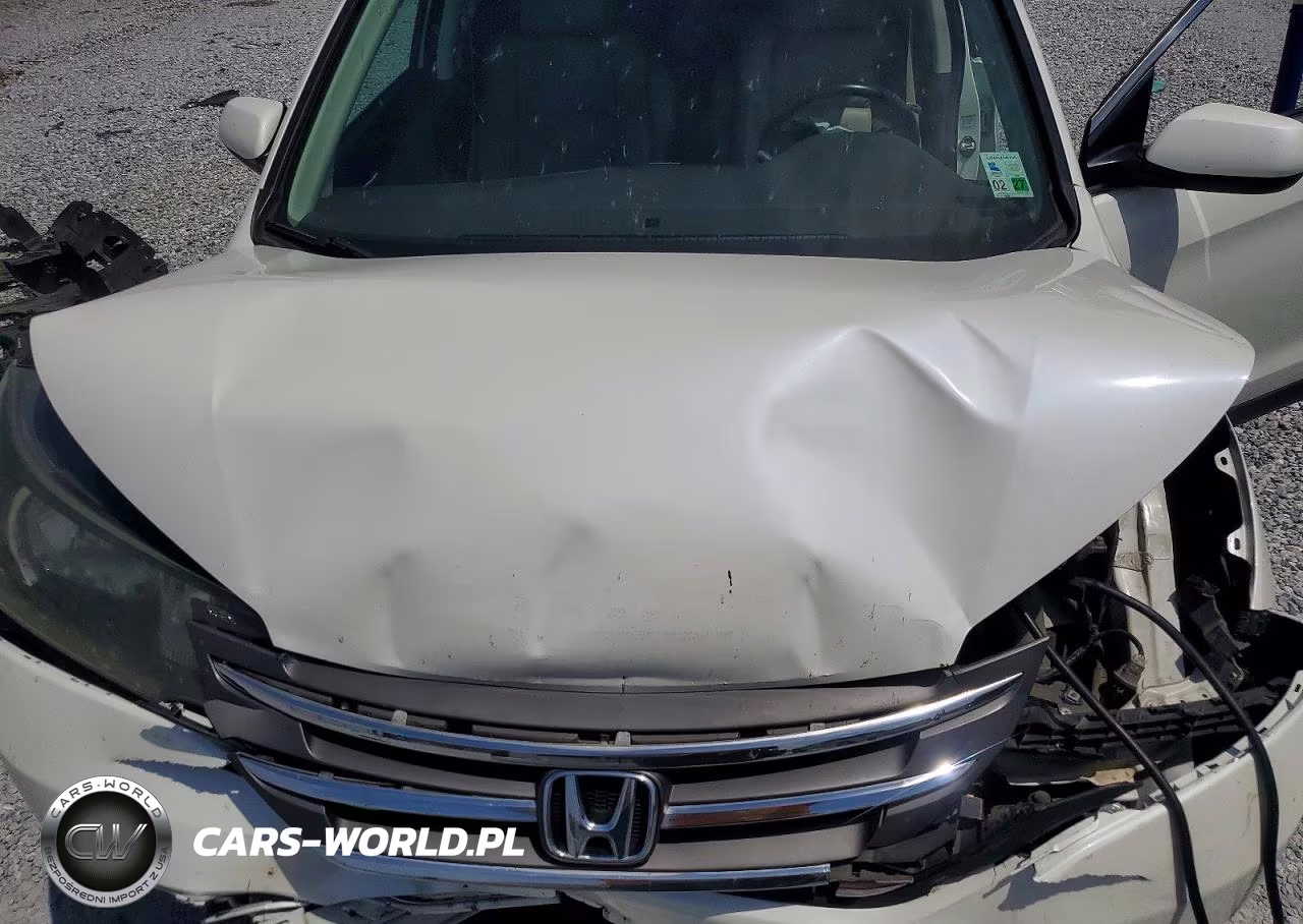 2014 Honda Cr-V Exl VIN:5J6RM3H76EL031476 - 12