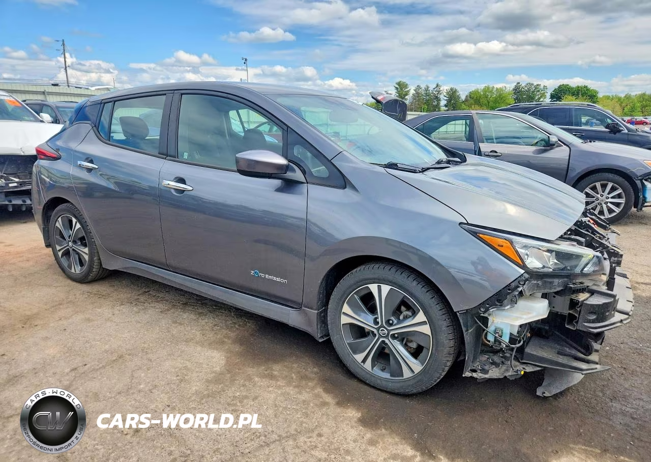 2018 Nissan Leaf Sv VIN:1N4AZ1CP2JC307460 - 4