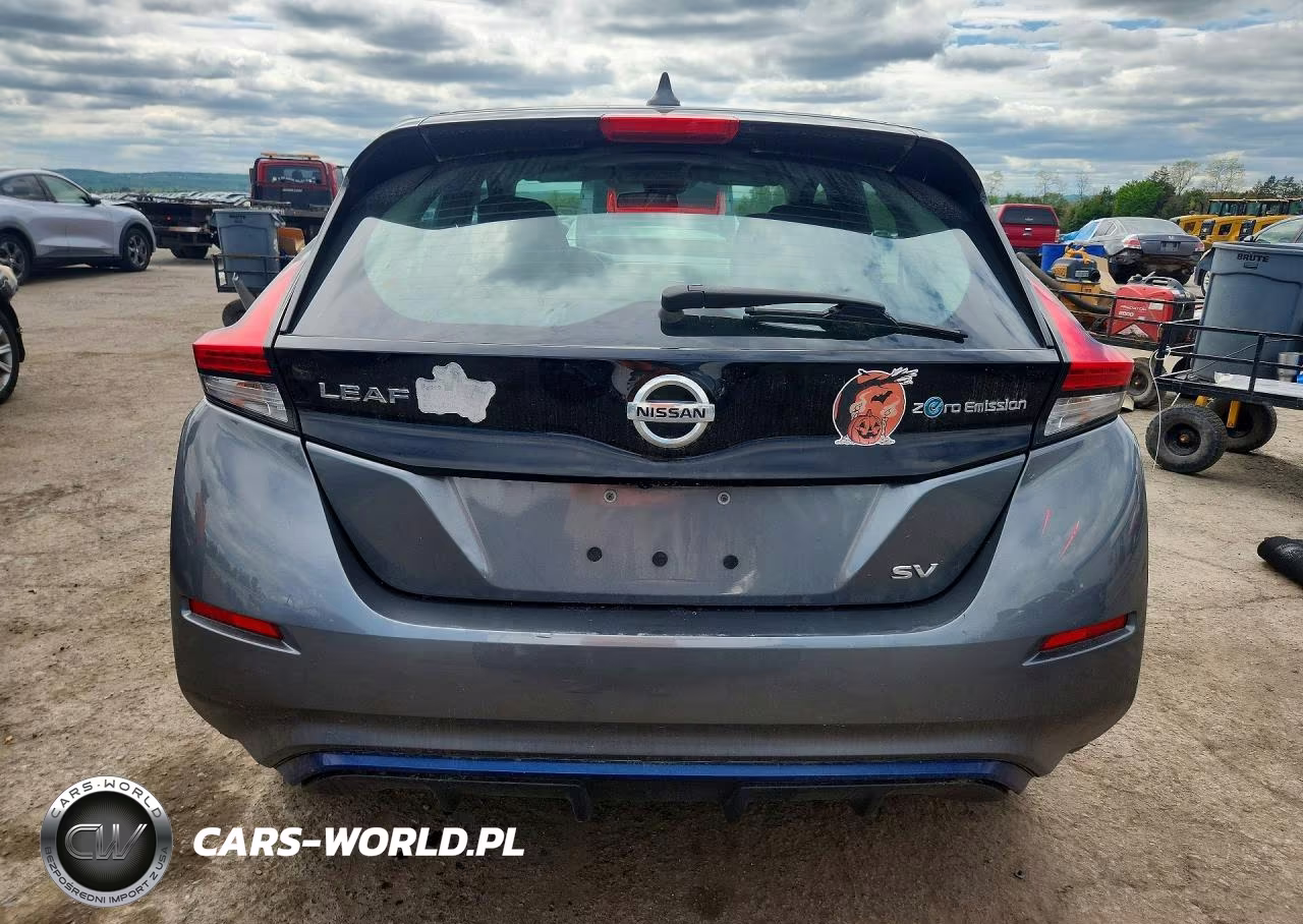 2018 Nissan Leaf Sv VIN:1N4AZ1CP2JC307460 - 6