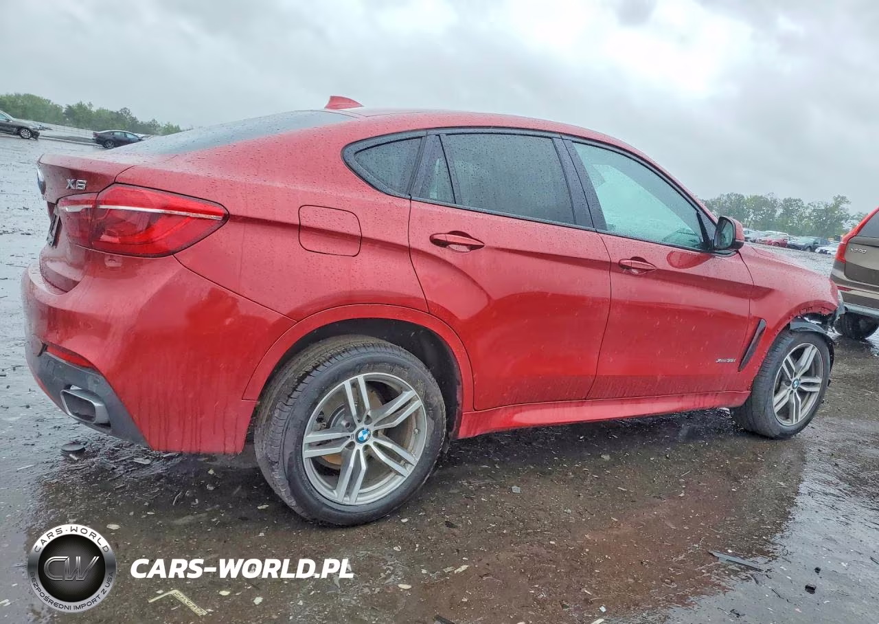 2017 BMW X6 xDrive35I VIN:5UXKU2C3XH0X47033 - 3