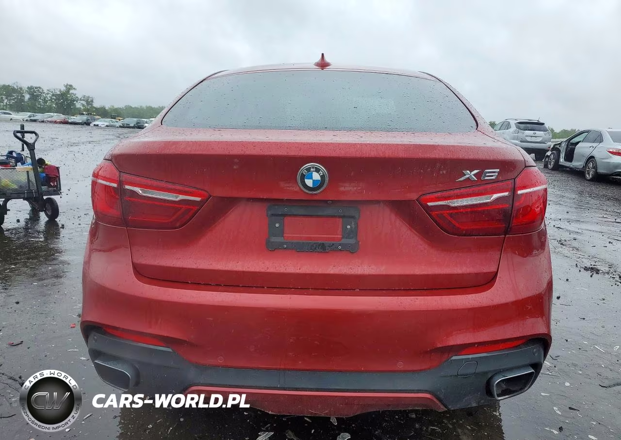 2017 BMW X6 xDrive35I VIN:5UXKU2C3XH0X47033 - 6