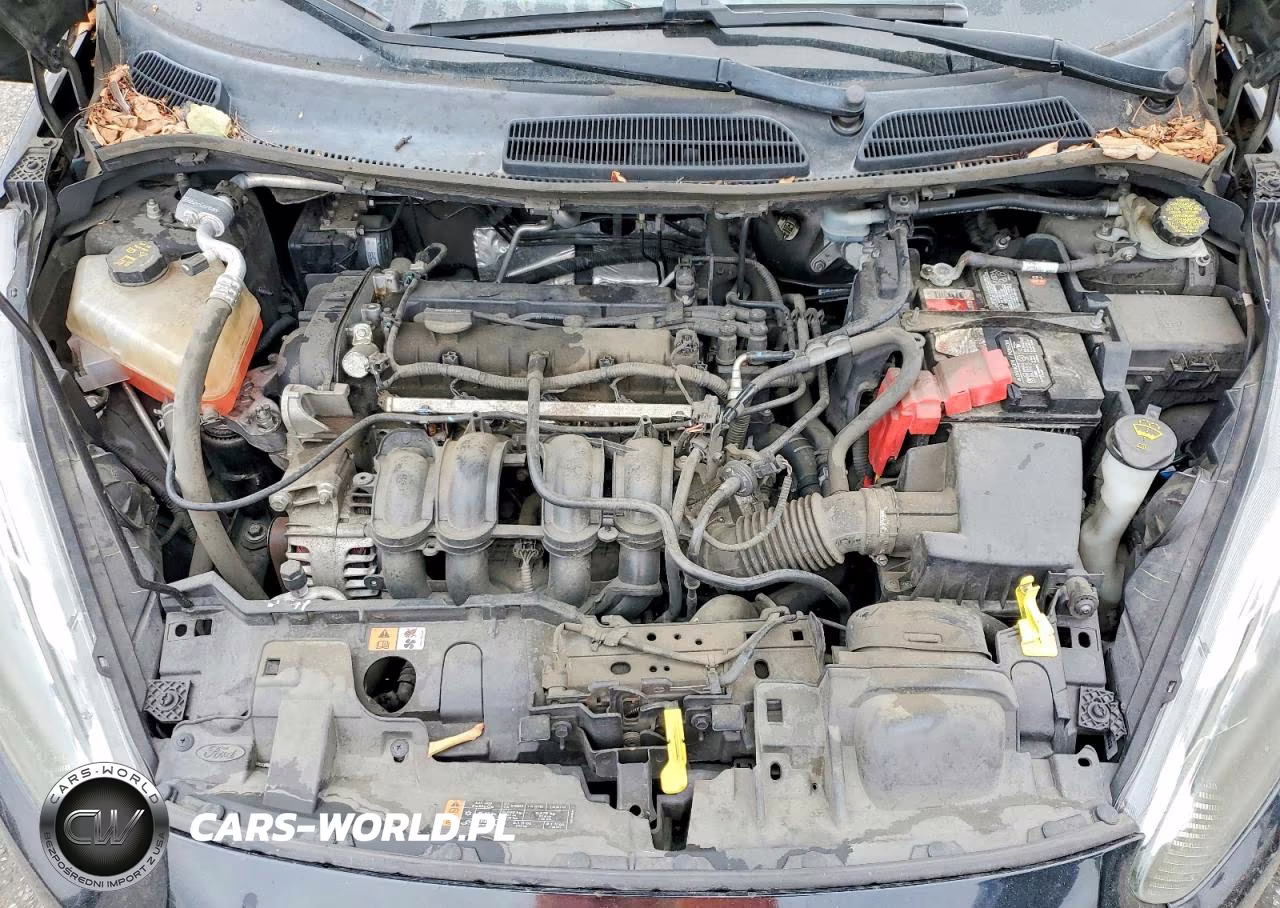2016 Ford Fiesta Se VIN:3FADP4BJ7GM204060 - 11