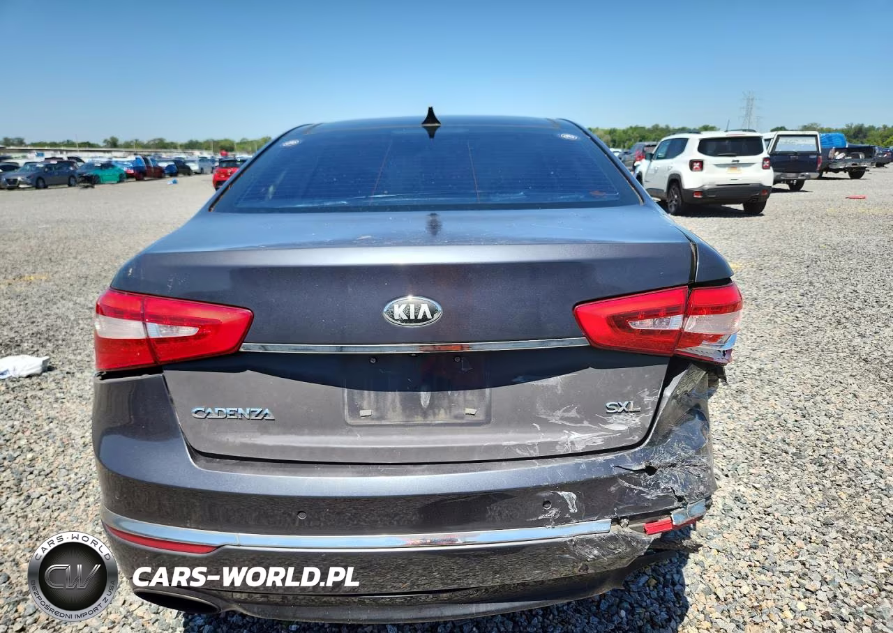 2014 Kia Cadenza Limited VIN:KNALN4D70E5151747 - 6