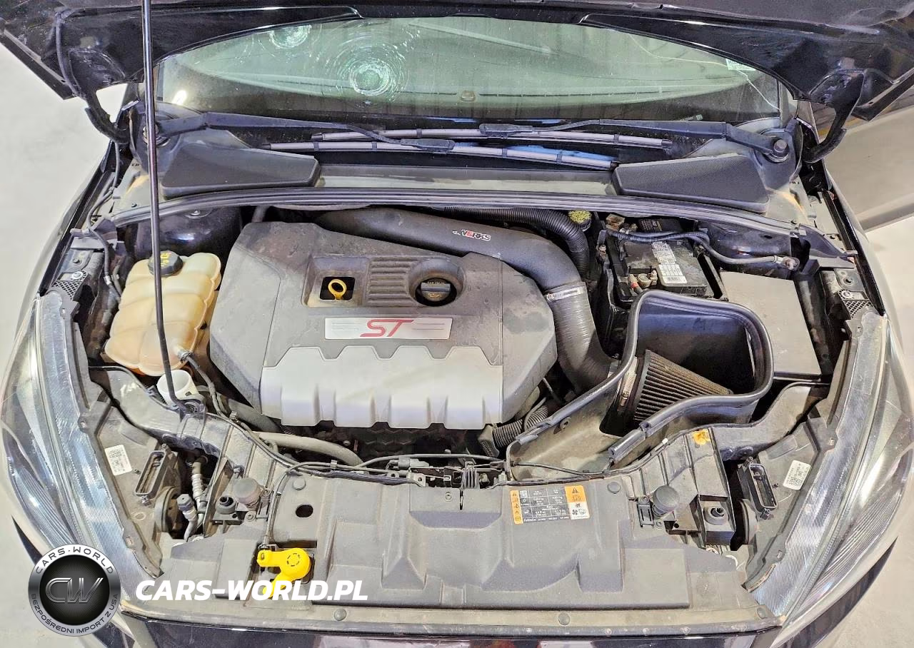 2018 Ford Focus St VIN:1FADP3L92JL223431 - 12