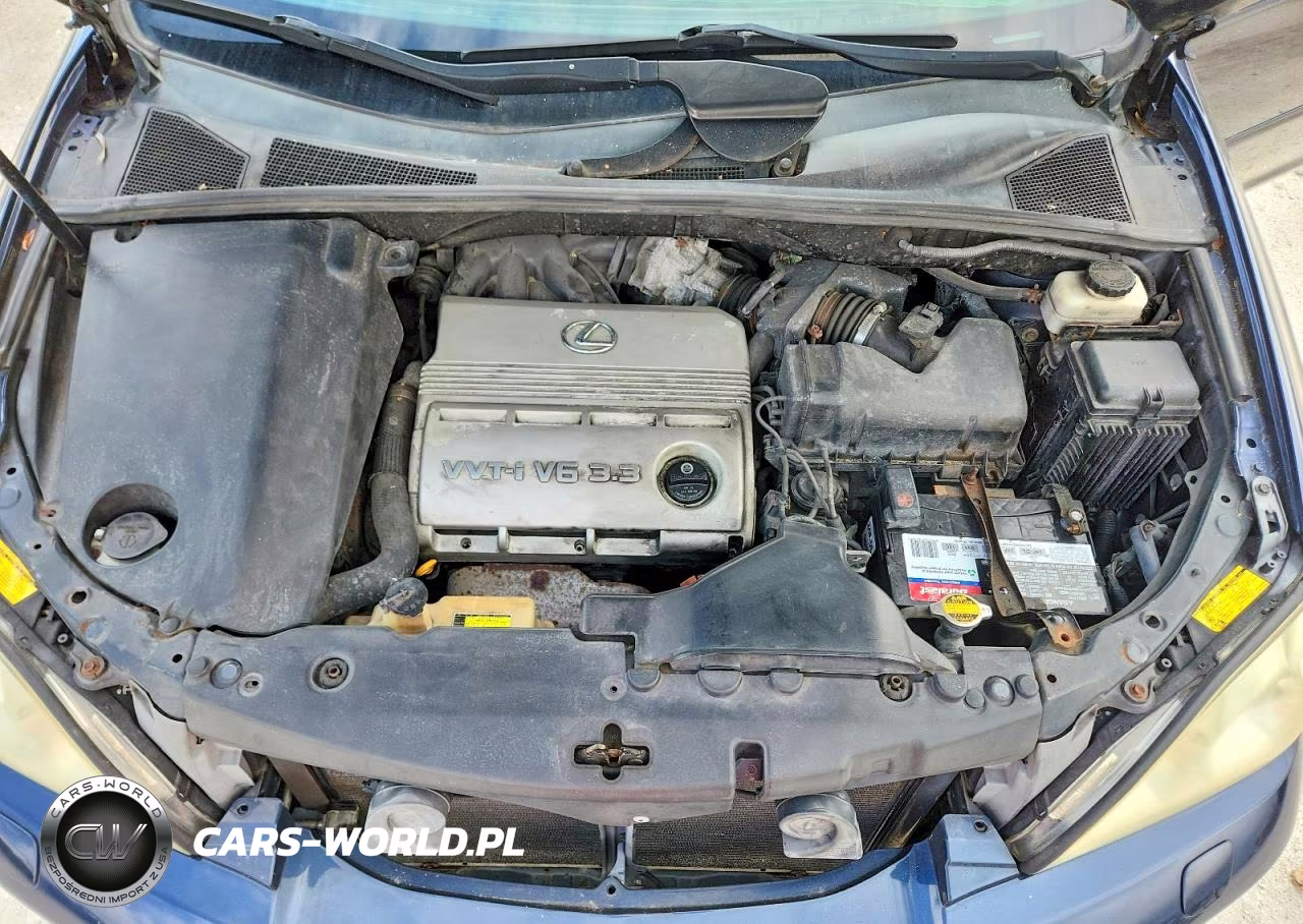2004 Lexus Rx 330 VIN:2T2HA31U04C010134 - 12