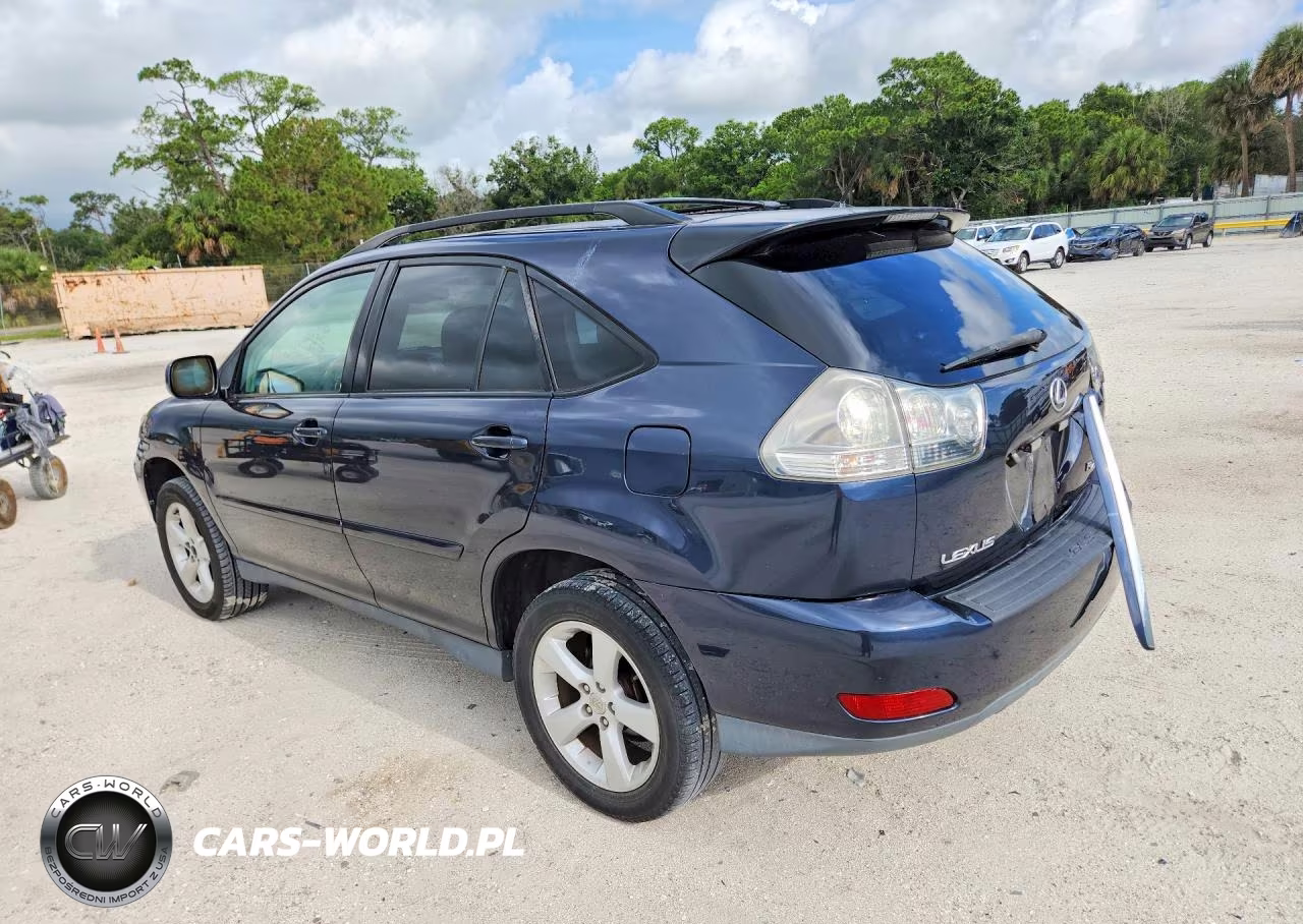 2004 Lexus Rx 330 VIN:2T2HA31U04C010134 - 2