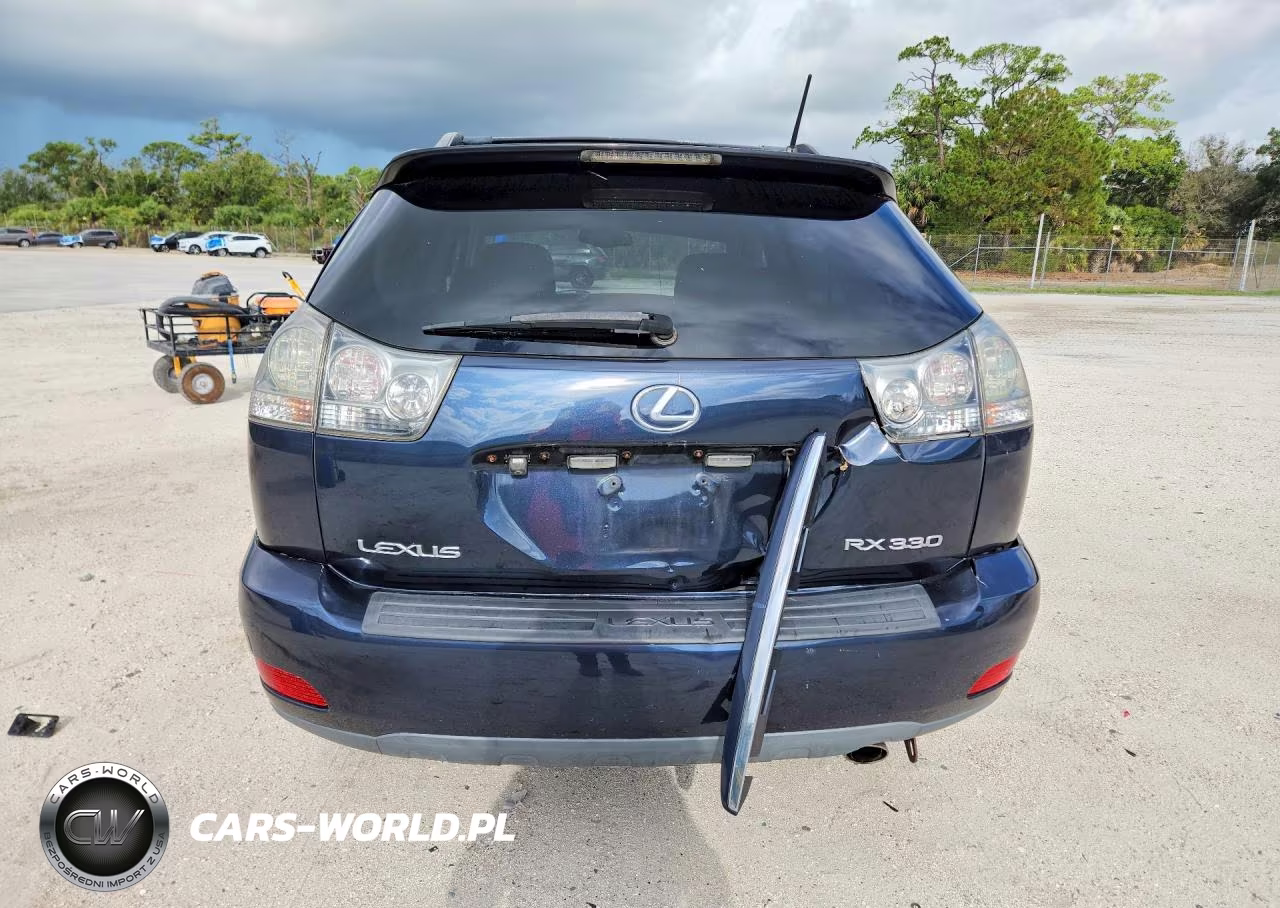 2004 Lexus Rx 330 VIN:2T2HA31U04C010134 - 6