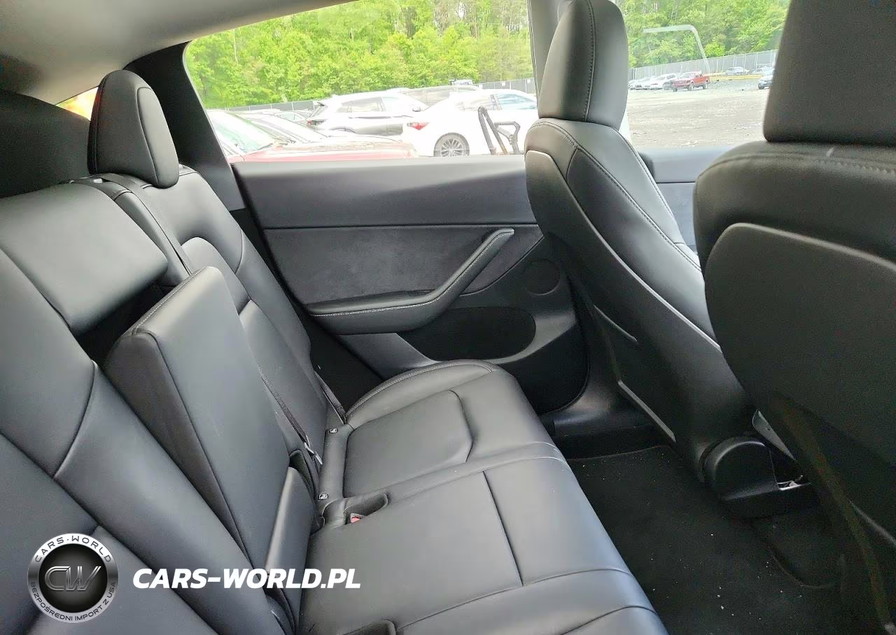2024 Tesla Model Y VIN:7SAYGDEF7RF043335 - 11