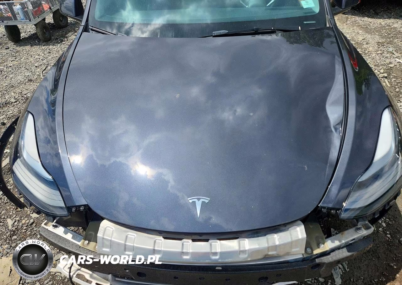 2024 Tesla Model Y VIN:7SAYGDEF7RF043335 - 12
