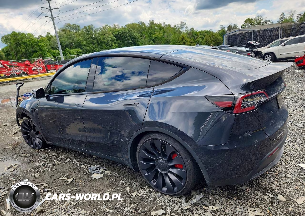 2024 Tesla Model Y VIN:7SAYGDEF7RF043335 - 2