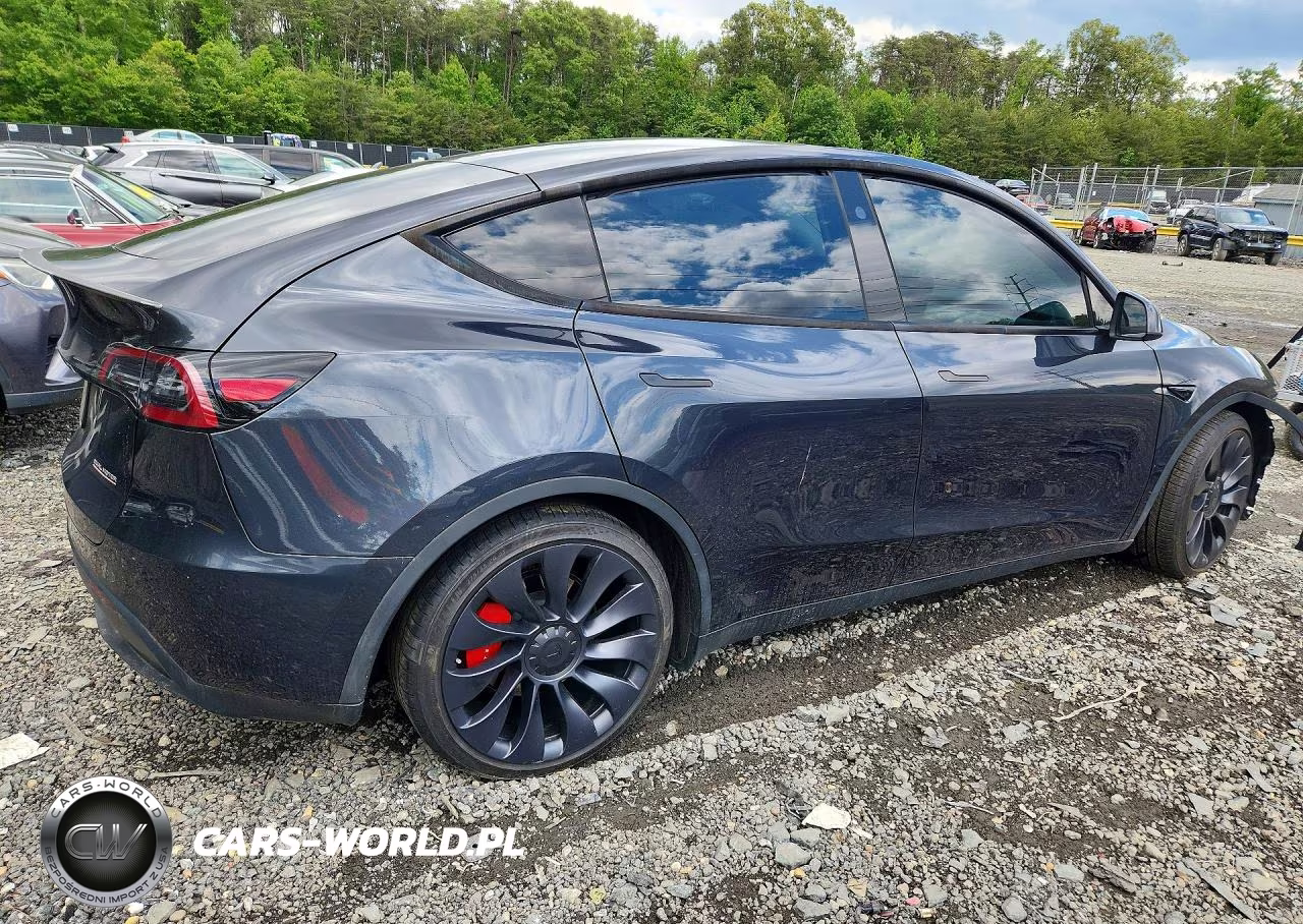 2024 Tesla Model Y VIN:7SAYGDEF7RF043335 - 3